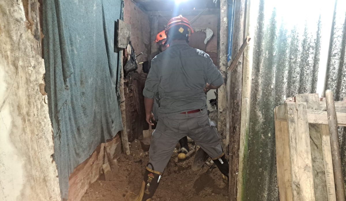 WhatsApp Image 2026-02-19 at 09.10.00