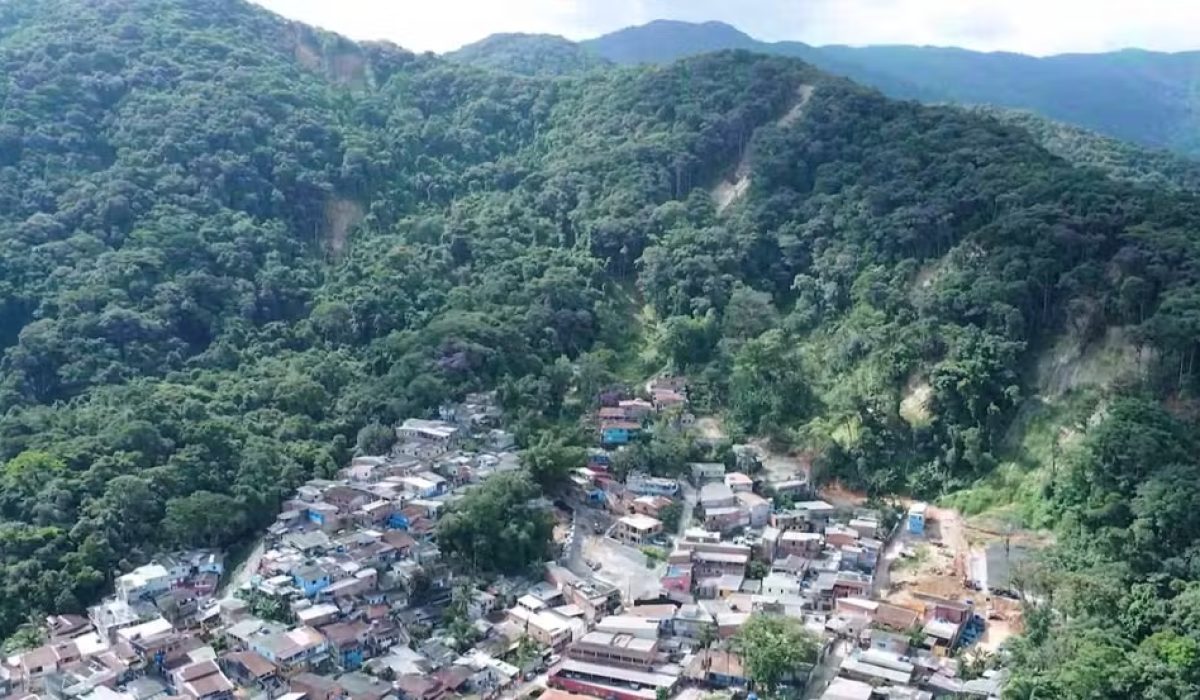 WhatsApp Image 2026-02-19 at 12.32.46