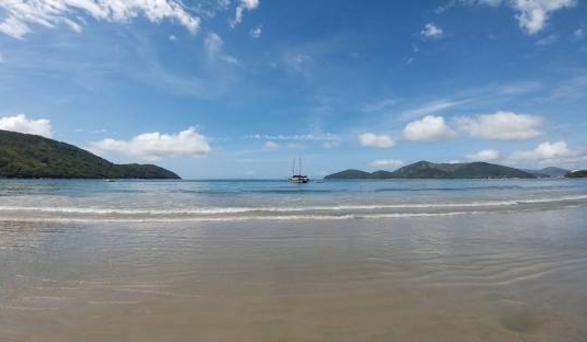 WhatsApp Image 2026-02-20 at 12.02.03