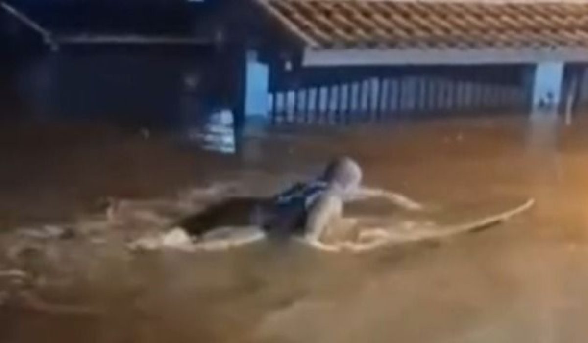 WhatsApp Image 2026-02-24 at 09.38.41