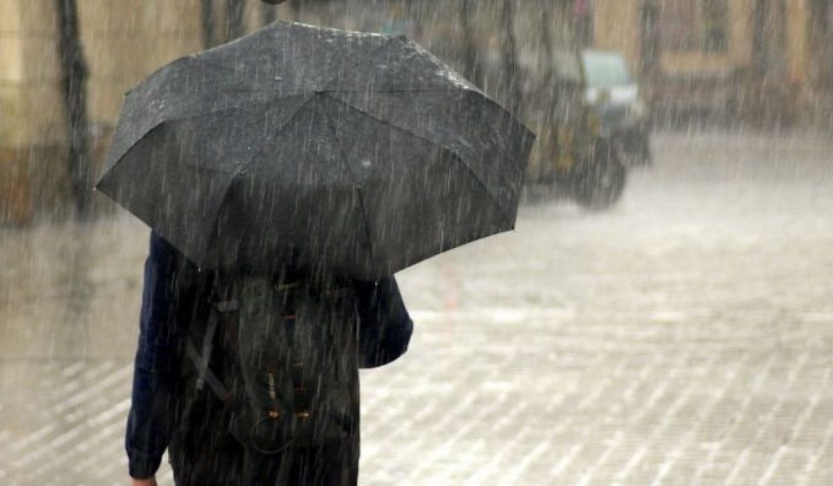 WhatsApp Image 2026-02-27 at 11.30.59