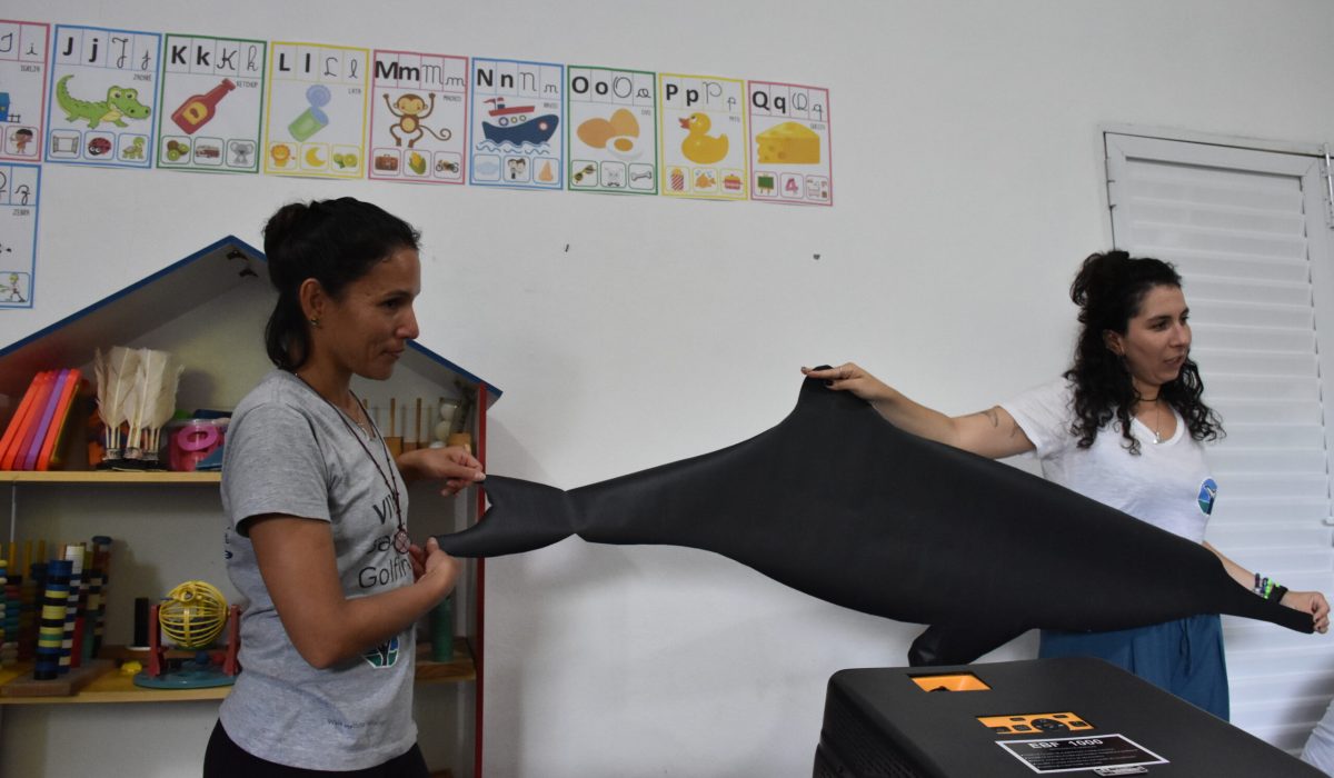 palestra das baleias